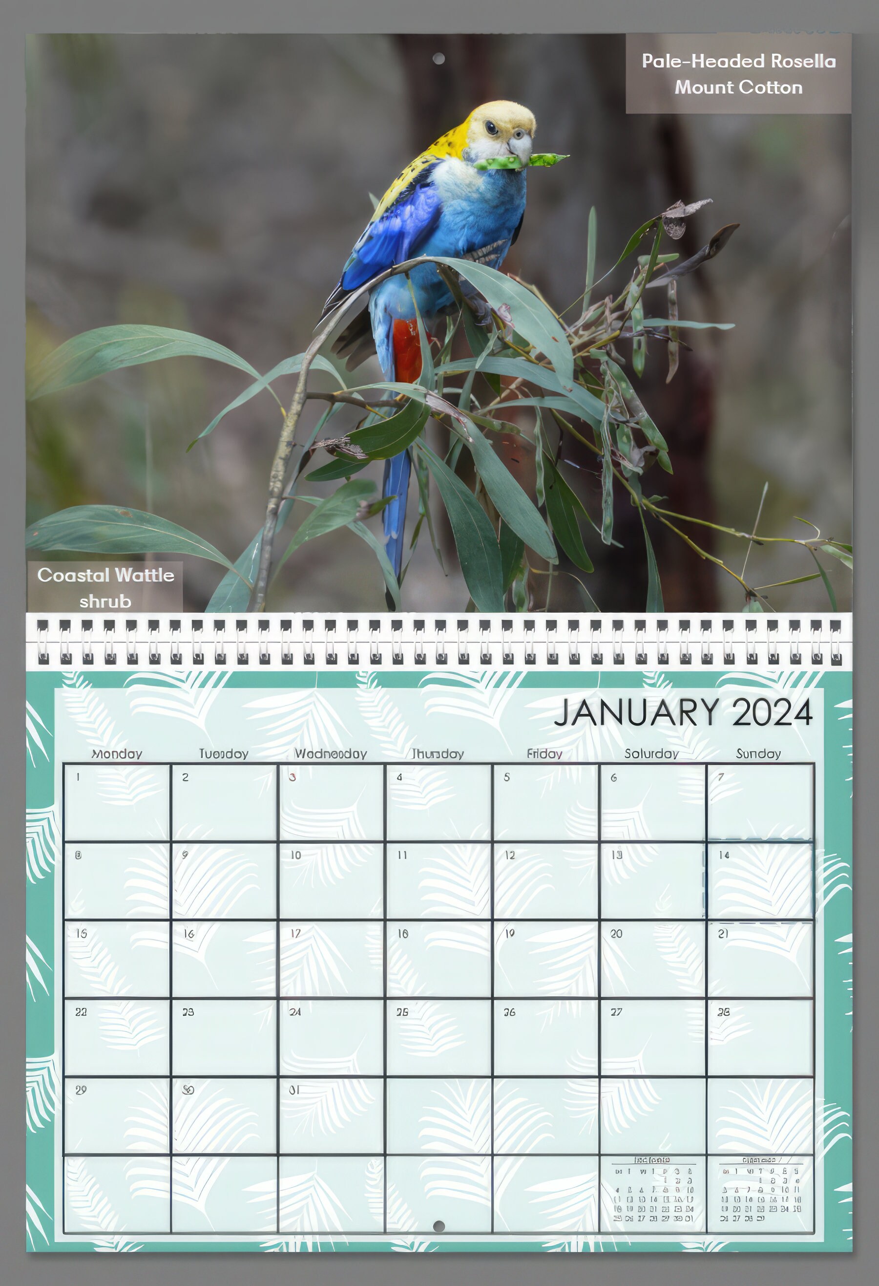Brisbane Birds 2025 Calendar Stunning Birdlife From Etsy Australia