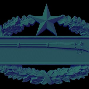 Combat Infantry Badge 2nd award