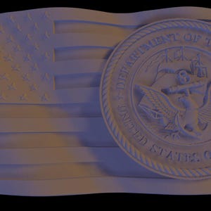 May include: A 3D relief sculpture of an American flag with the Department of the Navy seal in the lower right corner. The seal features an eagle with a rope in its talons and the text "Department of the Navy United States of America".
