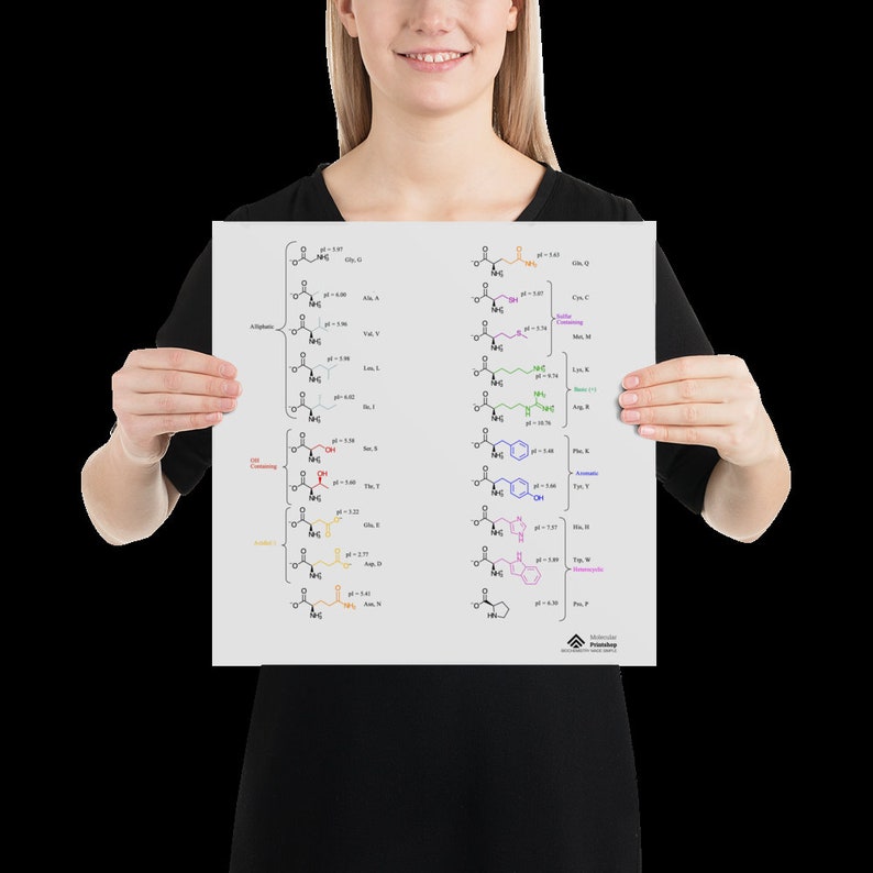 Zwitterionic Twenty 20 Amino Acids Square Poster College Biochemistry