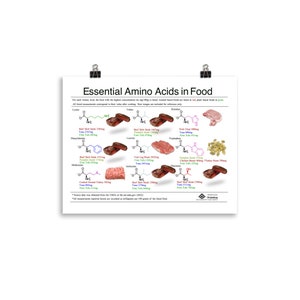 Essential Amino Acids Poster, Nutritional Biochemistry: Nine essential amino acids in Food