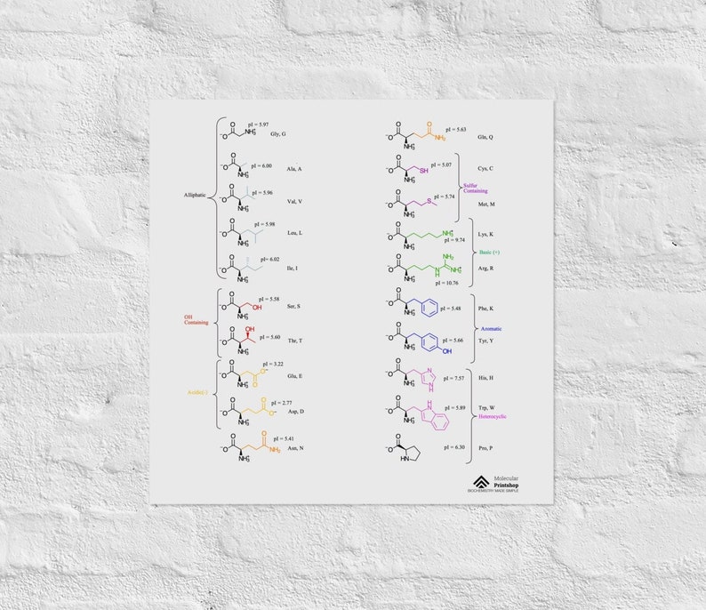 Zwitterionic Twenty 20 Amino Acids Square Poster College Biochemistry
