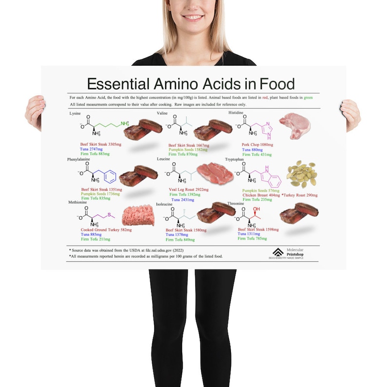 Essential Amino Acids Poster, Nutritional Biochemistry Nine Essential