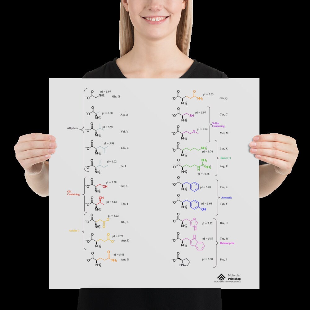 Zwitterionic Twenty 20 Amino Acids Square Poster College Biochemistry