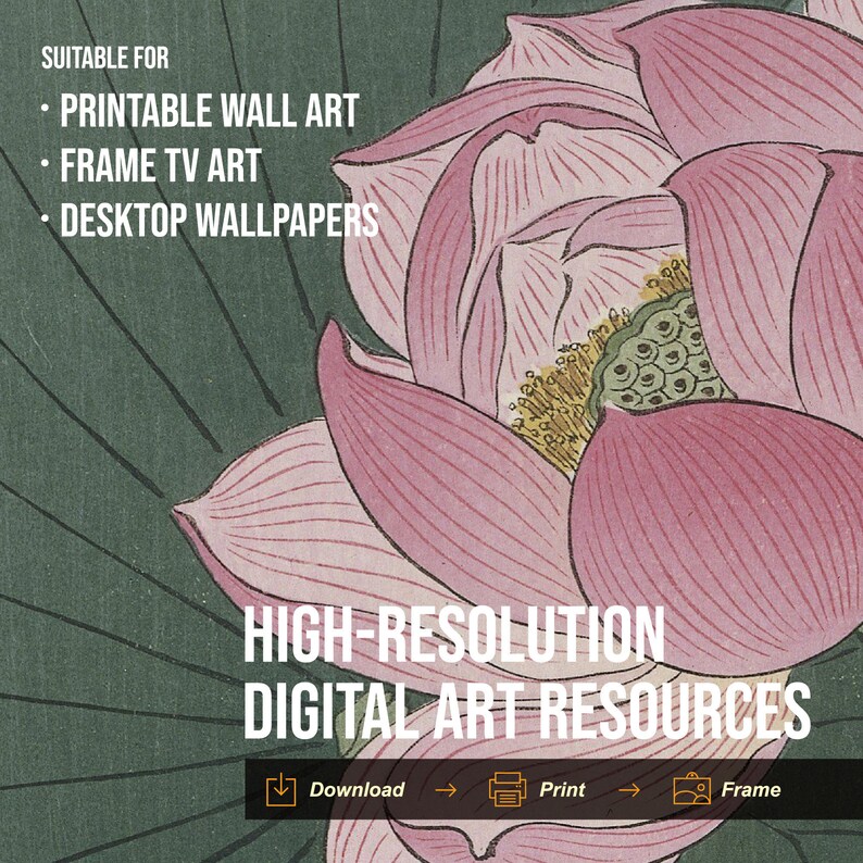 May include: A close-up of a pink and white lotus flower with a green center. The image is suitable for printable wall art, framing, and desktop wallpapers. The text "HIGH-RESOLUTION DIGITAL ART RESOURCES" is displayed below the flower.