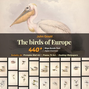 440+ John Gould Famous Paintings Collection | The birds of Europe | High-Resolution Digital Art Resources | Instant Digital Download | R-93