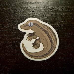 Gecko Sticker | Gargoyle Gecko | Reptile | Cute | Decal | Multiple Sizes | Shiny | Water-resistant | Laptop Sticker |