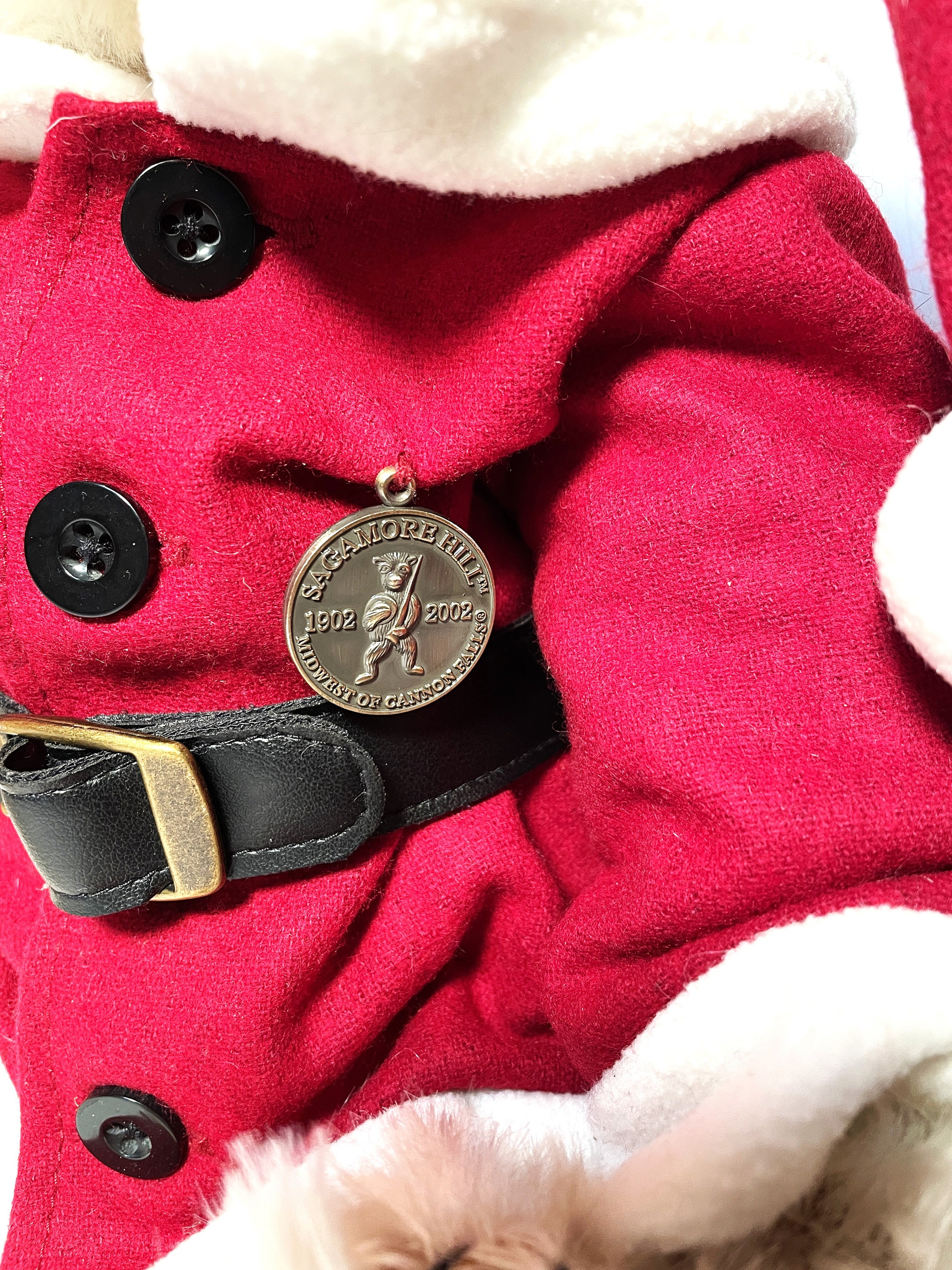 The Bears of Sagamore Hill 