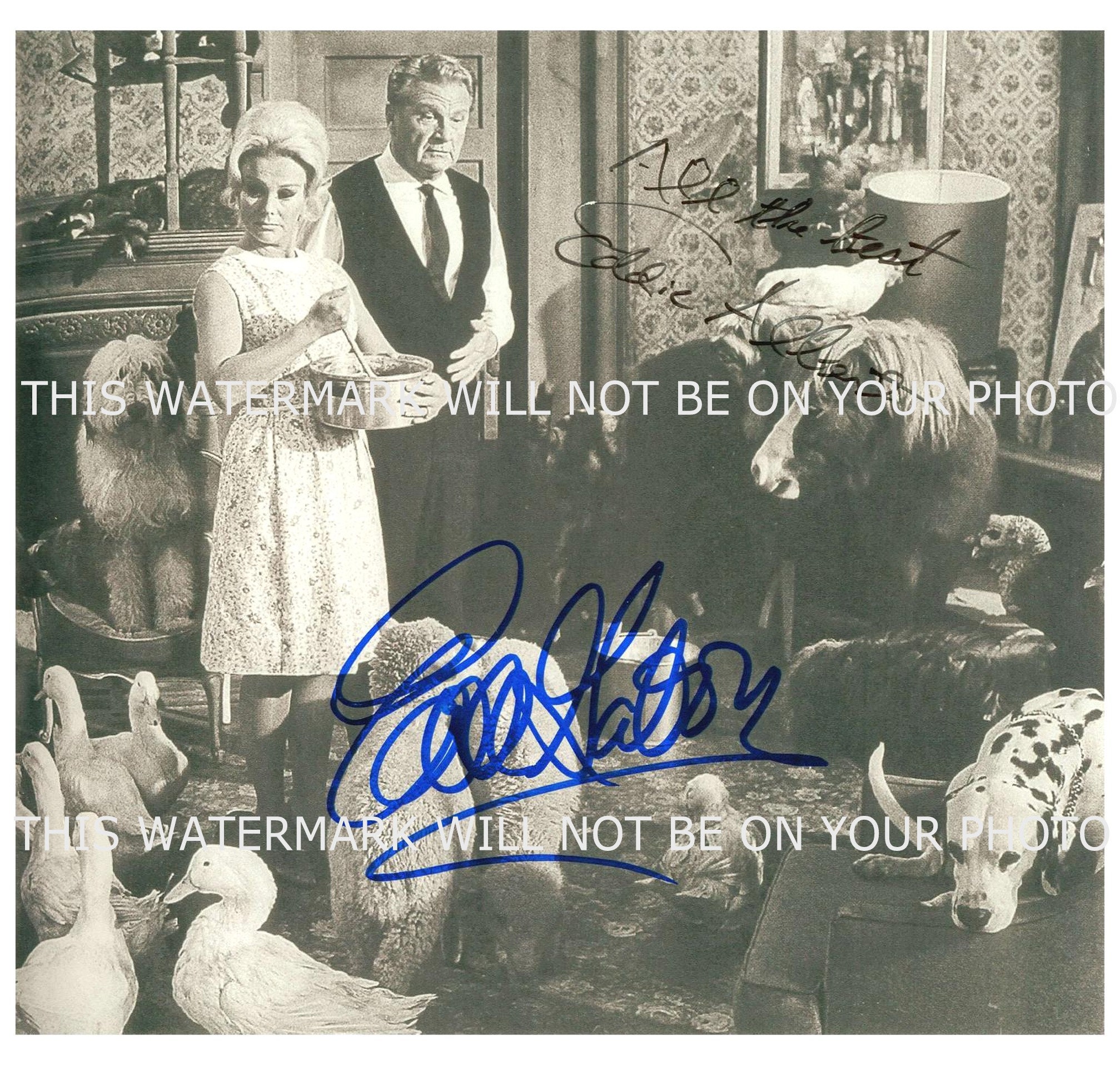 GREEN ACRES TV Show Cast Eva Gabor and Eddie Albert Signed Autograph