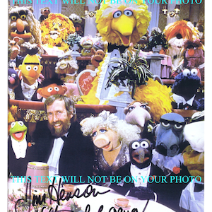 JIM HENSON and the Muppets tv show signed autograph autographed 8x10 photo reprint Kermit Frog Miss Piggy Big Bird Burt Ernie Sesame Street