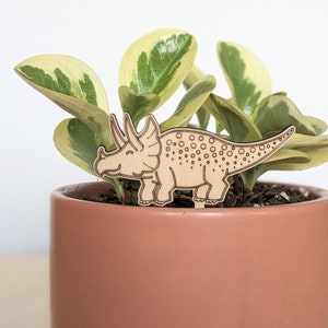 Deux copains de plantes de dinosaures Décoration daccessoires de plantes dintérieur Cadeau pour les amoureux des plantes et les jardiniers Accessoire de plantes dintérieur Plant Buddies image 4