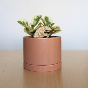 May include: A small potted plant with variegated green and yellow leaves in a terracotta pot. A wooden cutout of a pangolin is sitting on top of the soil.
