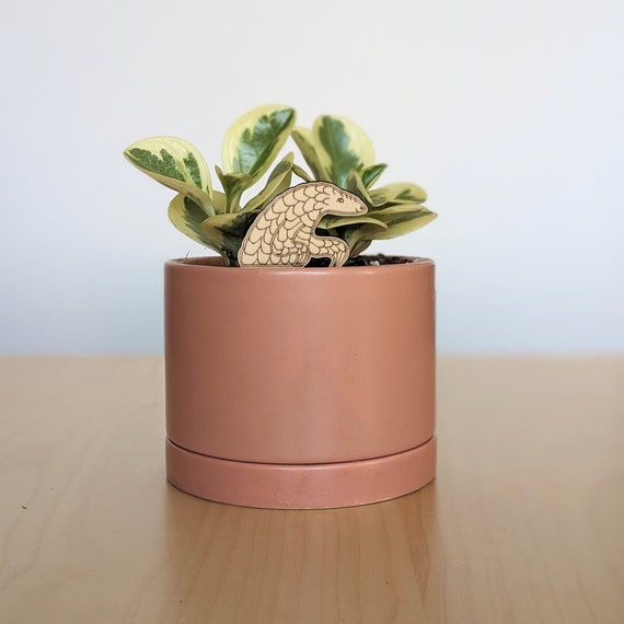 Birch Pangolin Plant Stake: Indoor Houseplant Decor