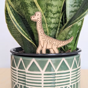 Deux copains de plantes de dinosaures Décoration daccessoires de plantes dintérieur Cadeau pour les amoureux des plantes et les jardiniers Accessoire de plantes dintérieur Plant Buddies image 3