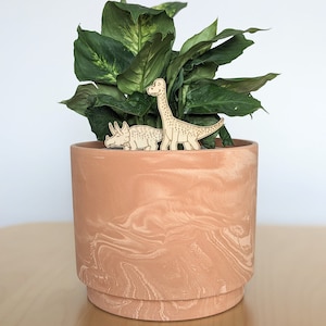 Deux copains de plantes de dinosaures Décoration daccessoires de plantes dintérieur Cadeau pour les amoureux des plantes et les jardiniers Accessoire de plantes dintérieur Plant Buddies image 1