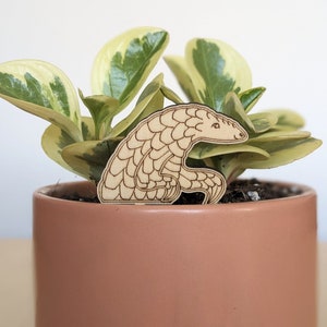 May include: A wooden cutout of a pangolin sitting on a pot of a variegated houseplant with green and yellow leaves.