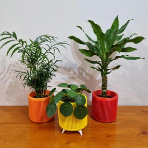 Minimalist Indoor 3D Printed Plant Pot | Houseplant Planter | Brown, Black, Pink, Orange, Red, Yellow
