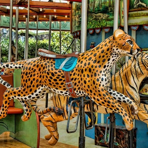Zoo Kunst Schöne Löwen Tiger Bären Safari Tier Kinderzimmer Benutzerdefinierte gerahmte Drucke Wandkunst 3 Set Panel-Babypartygeschenk Jungen-Kinderzimmer-Kinderzimmer Neugeborene