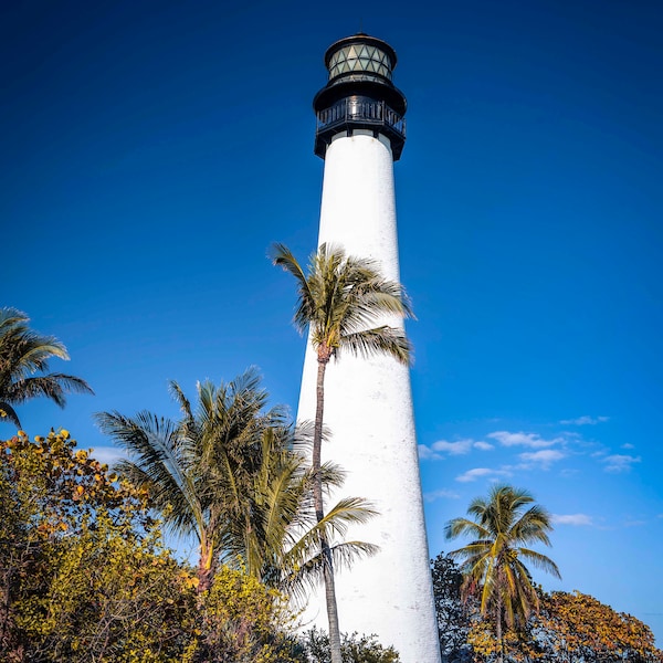 Cape Florida Lighthouse Sunny Coastal Serenity Majestic Palm Trees Fine Art Print Perfect Home Decor Beach House Canvas Metal Acrylic