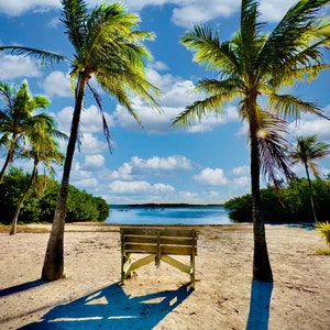 May include: A wooden bench sits on a sandy beach with a view of a calm blue lagoon. Two palm trees frame the scene, their fronds swaying in the breeze. The sky is a bright blue with fluffy white clouds.
