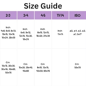 size guide