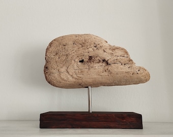 Driftwood sculpture, dolphin head