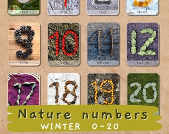 Karty z liczbami przyrodniczymi 0-20 | Edukacja na świeżym powietrzu, Aktywności w leśnej szkole, Karty Montessori o tematyce przyrodniczej, Dekoracje do klasy przyrodniczej, Wydruk do edukacji domowej