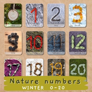 Natur Zahlenkarten 0-20 | Bildung im Freien, Waldschulaktivität, Montessori-Naturkarten, Naturklassenzimmerdekor, Hausschuldruck