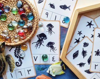 Numbers ARABIC Clip and Count 1-10 | Printable Flashcards Arabic Montessori Homeschooling Resources