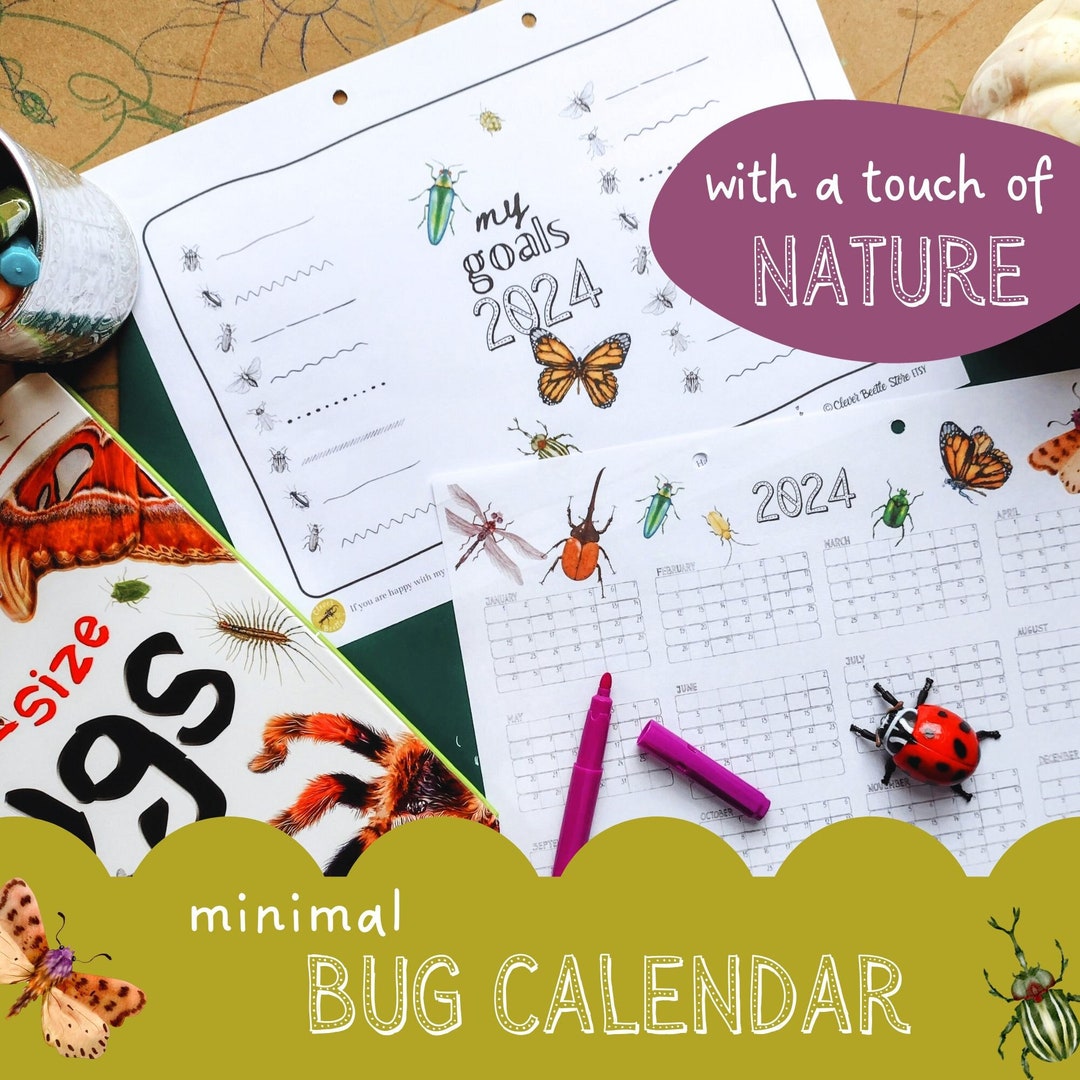 2024 Calendar Printable Nature Minimalist Bugs Nature Illustrated Wall