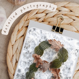 May include: A letter "P" formed with brown and green leaves on a white snowy background. The leaves are frosted and have a delicate texture. The image is titled "detailed photography".