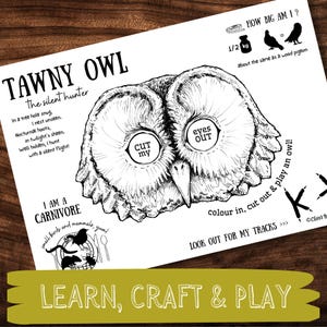 Tawny Owl Mask: Printable Papercraft DIY Activity for Kids (PDF)