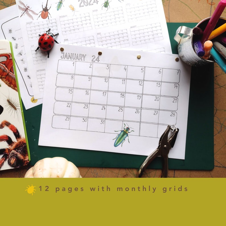 2025 Calendar Printable Nature Minimalist Bugs Nature Illustrated Wall