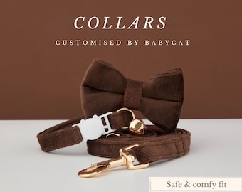Personalisierte Samt Katzenhalsband Fliege Leine Set, graviertes Haustier Namensschild