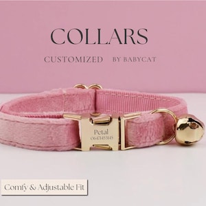 Personalized cat & small dog collar bowtie leash set, custom engraved puppy name tag, gold bell, male female pet gift
