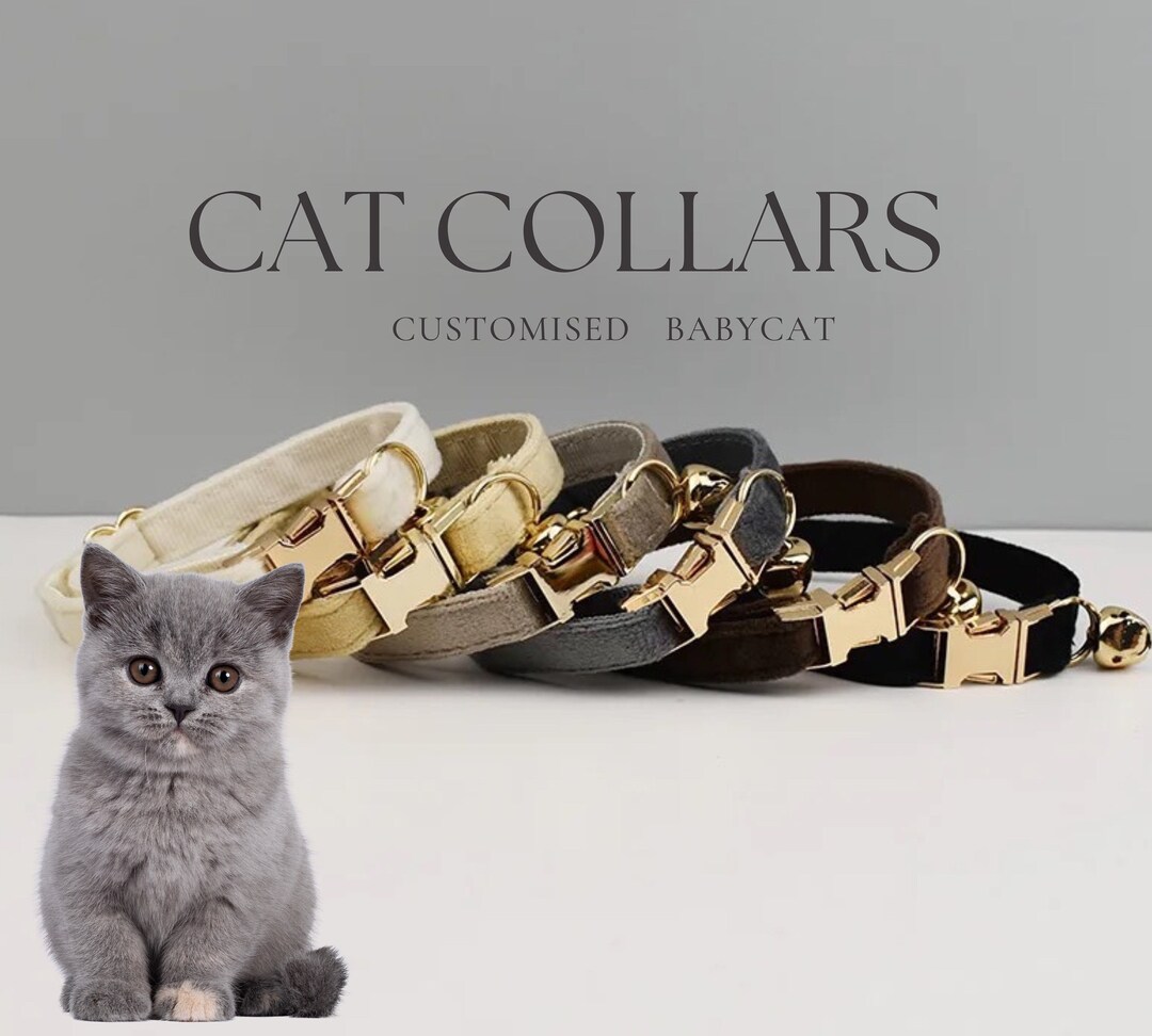 Personalized Velvet Cat Collar Leash Set Engraved Kitties Etsy
