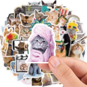 Pack d'autocollants drôles de chat de 50p, autocollants de mèmes de chat, autocollants de bullet journal, autocollant de scrapbooking, autocollant de coque de téléphone, autocollants de journal d'animal