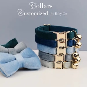 Kundenspezifisches blaues Samt-Kätzchen-Halsband mit Bogen, Luxus-Katzenhalsband mit Glocke in Gold-Hardware, personalisiertes Katzenhalsband für Hochzeitsgeschenk, Welpenhalsband