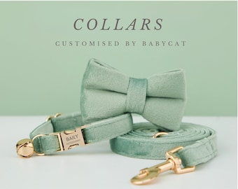 Luxus Samt Katzenhalsband Fliege Set: Personalisierte Kätzchen Halsband Leine