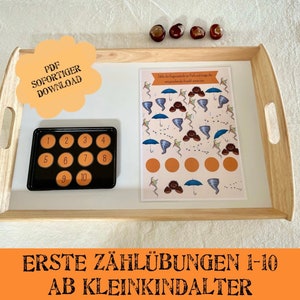 Learning to count counting exercise autumn game learning numbers Montessori toddler