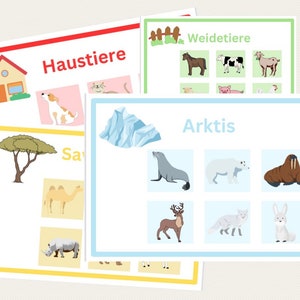 Montessori educational game / sorting game / matching animals for kindergarten and elementary school children