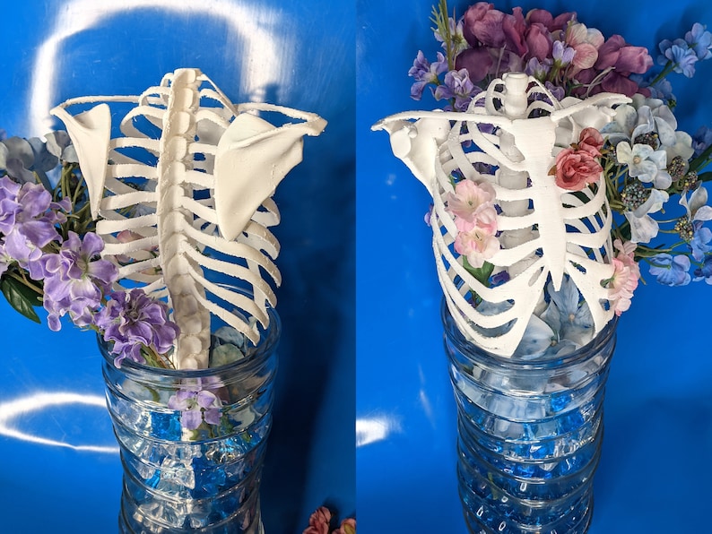 Ribcage Trellis W/ Shoulder Blades - Etsy