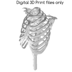 STL - Ribcage Trellis w/ Shoulder blades