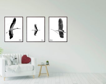 set of three black and white birds, wall art, animal, nature fine art, graphic design, nature photography