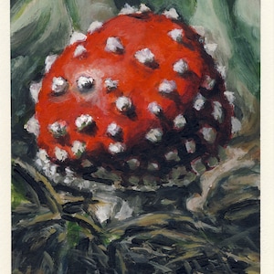 Amanite tue-mouches, peinture originale sur carton, 17 x 20 cm, 195-2017