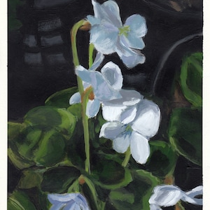 violetas blancas, cuadro original sobre cartón, 21 x 25 cm, 240-2018