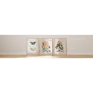 May include: Three framed prints with nature-themed illustrations. The first print features a blue and white butterfly, the second print features a cluster of orange and yellow flowers with butterflies, and the third print features a red-breasted bird perched on a branch with red berries.