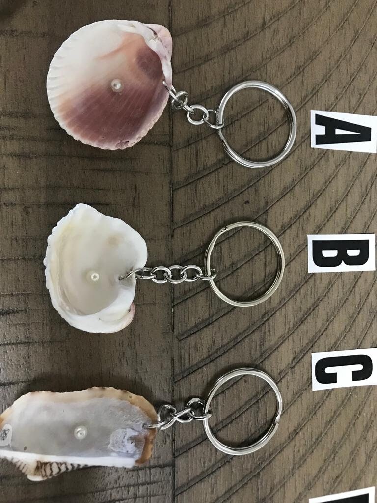 Shell Gasoline Key Ring Natural Single Seashell Keyring - Choose Your Shell. - Etsy