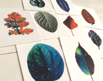 Series of Leaf Prints A5 paper