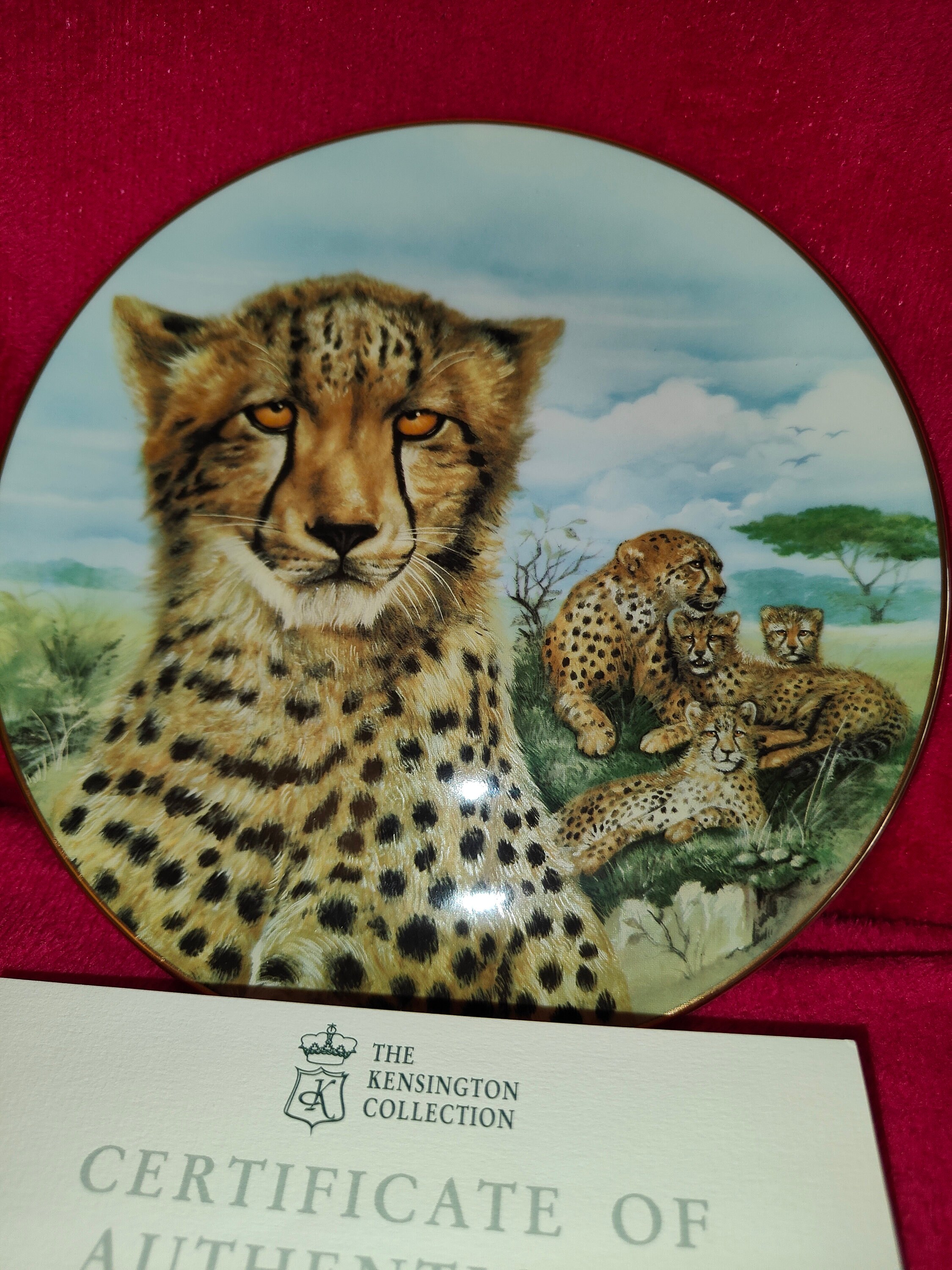 Collector Plates Big Cats - Etsy